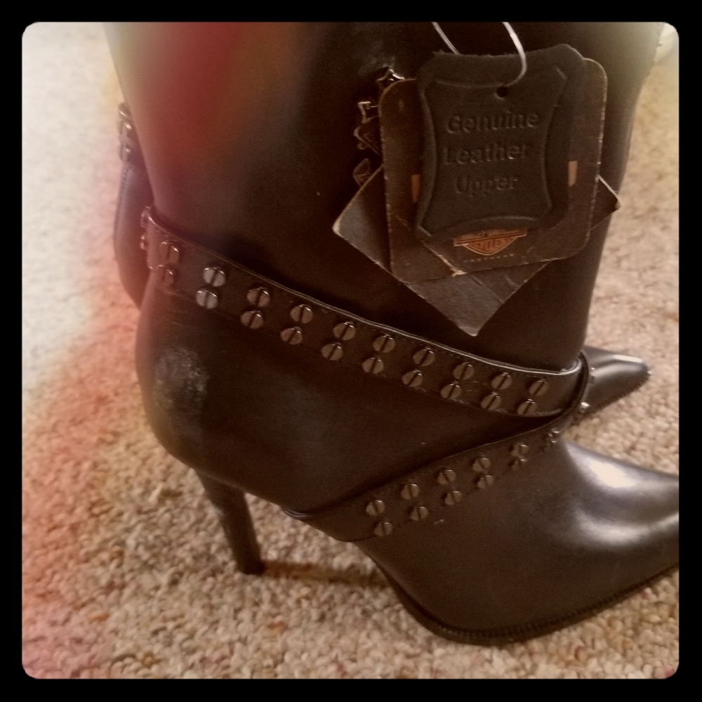 Harley davidson new bootie